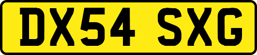 DX54SXG