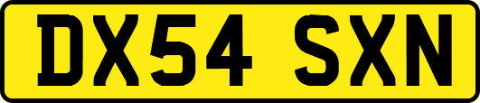 DX54SXN