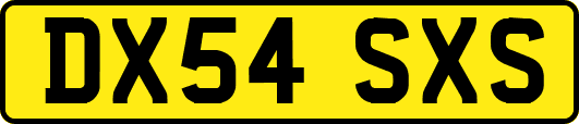 DX54SXS