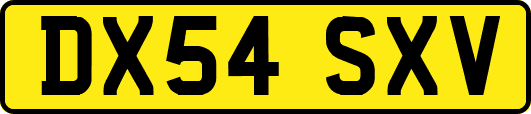 DX54SXV