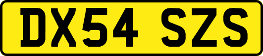 DX54SZS