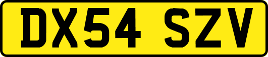 DX54SZV