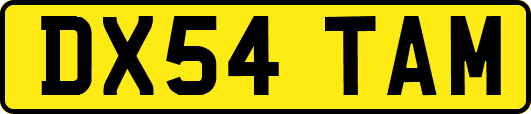 DX54TAM