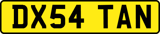 DX54TAN