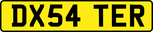DX54TER