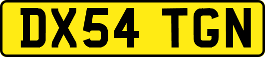 DX54TGN