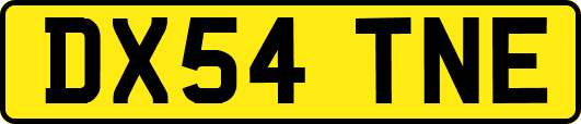 DX54TNE