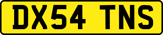 DX54TNS