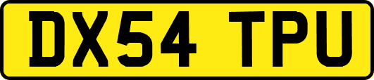 DX54TPU