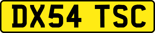DX54TSC