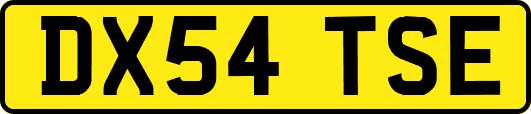 DX54TSE