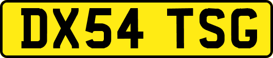DX54TSG