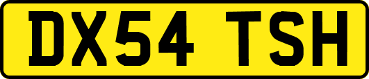 DX54TSH