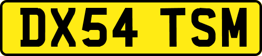DX54TSM