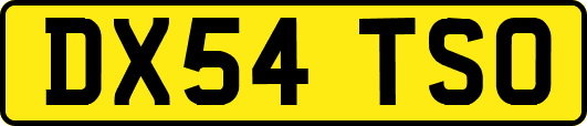 DX54TSO