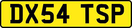 DX54TSP