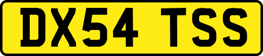 DX54TSS