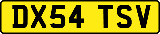 DX54TSV
