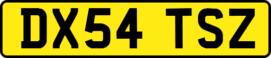 DX54TSZ