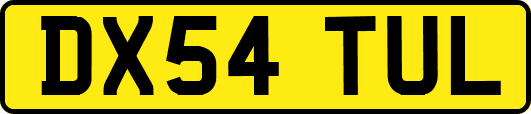 DX54TUL