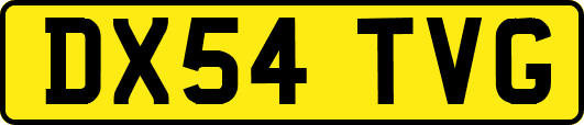 DX54TVG