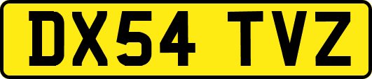 DX54TVZ