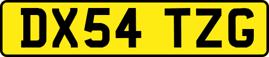 DX54TZG