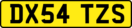 DX54TZS