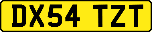 DX54TZT