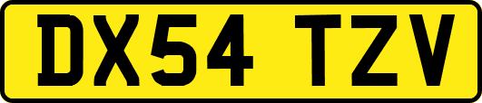 DX54TZV