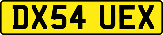 DX54UEX