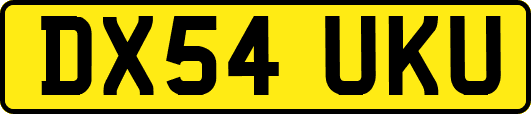 DX54UKU
