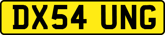 DX54UNG