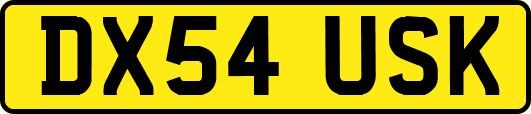 DX54USK