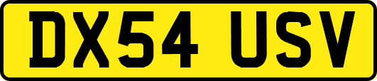 DX54USV