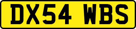 DX54WBS