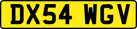 DX54WGV