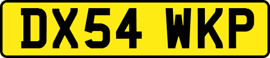 DX54WKP