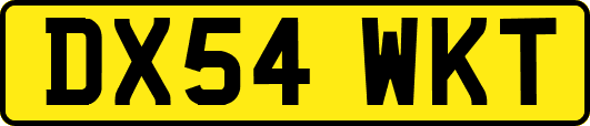 DX54WKT