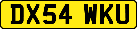 DX54WKU