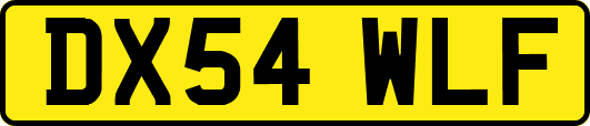 DX54WLF