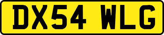 DX54WLG