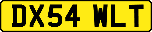 DX54WLT