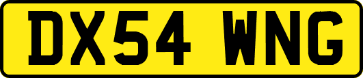 DX54WNG