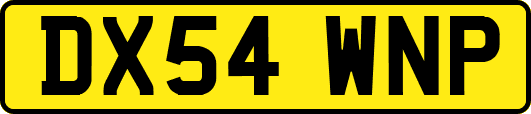 DX54WNP