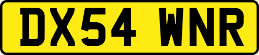DX54WNR