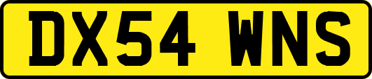 DX54WNS