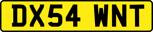 DX54WNT