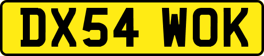 DX54WOK