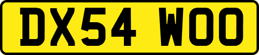 DX54WOO